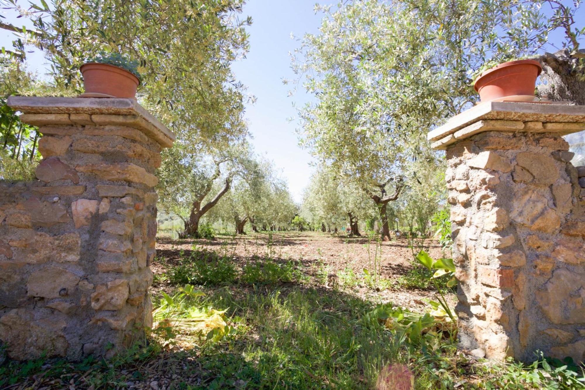 Villa Pedra Moro Αλγκέρο Εξωτερικό φωτογραφία